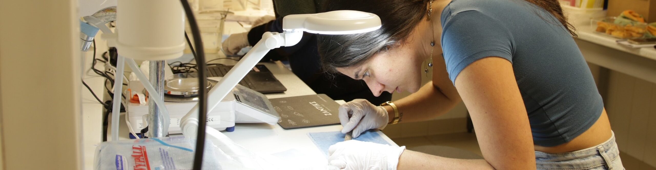 [WP2] Lancement de la première expérimentation chronique testant les effets du lithium et du changement climatique sur les hauts niveaux trophiques marins, menée à Palavas-les-Flots (MARBEC)